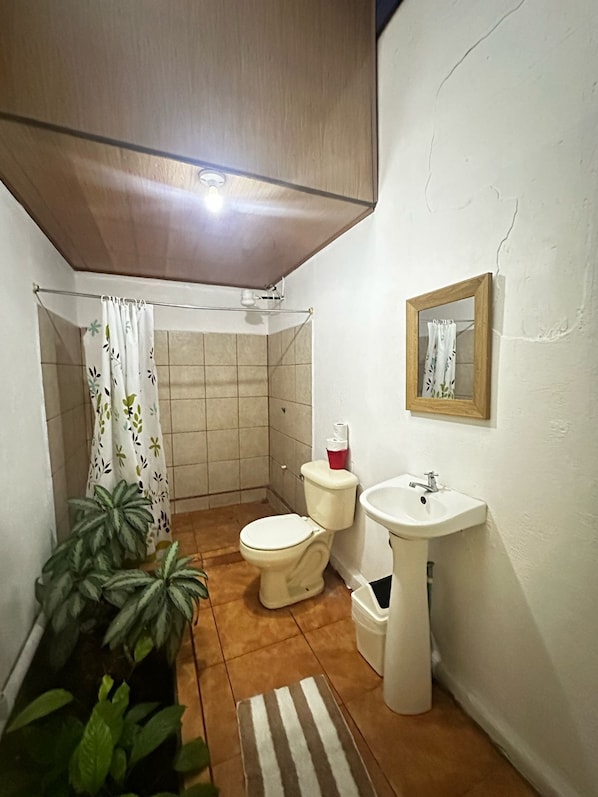 Un baño pequeño con inodoro, lavabo y zona de ducha.