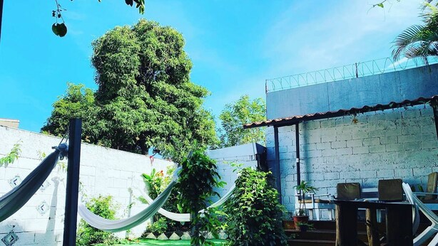 A patio area with a hammock, a table with chairs, and a large tree. - Hotel Cortez Azul (Alajuela)