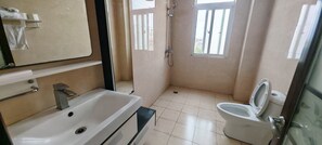 Regadera, secadora de cabello, toallas, jabón 