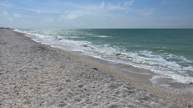 A beach with a pebbly shore and waves gently lapping at the sand.