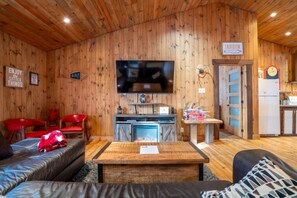 TV, caminetto, impianto stereo