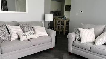 Smart TV, fireplace, books