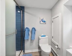 Shower, towels, toilet paper