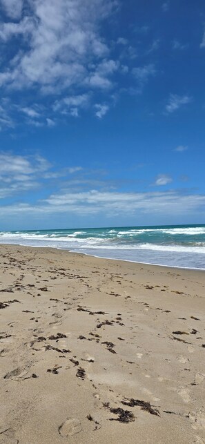 Beach - Cozy 2-bedroom house 1.5 baths with beach vibe, WiFi, AC in lovely Jensen Beach (Jensen Beach)