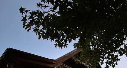 Hidden Rustic Retreat Cabin Getaway - a Wildlands Collection property