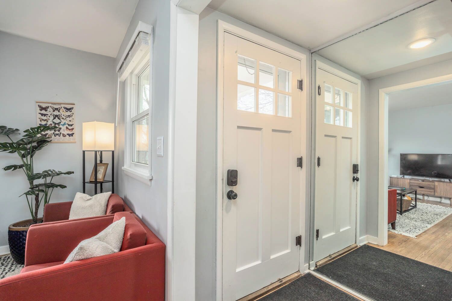 Smart-TV, Videospiele, DVD-Player, Bücher