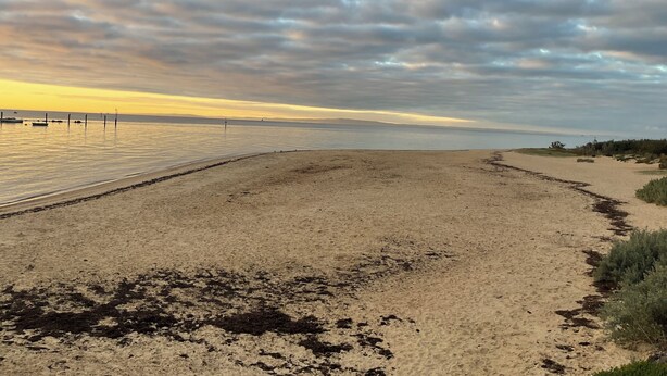 A beach with a sandy shore and a calm sea under a cloudy sky. - Seaduce, only 300m to the beach! (St Leonards)