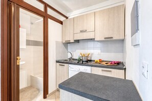 Fridge, stovetop, cookware/dishes/utensils