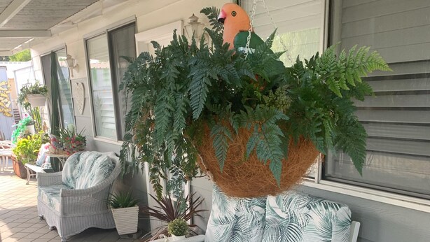 A covered patio area with wicker furniture, including a sofa and chairs, and various potted plants. -  Private Central Guesthouse (Dudley Park)