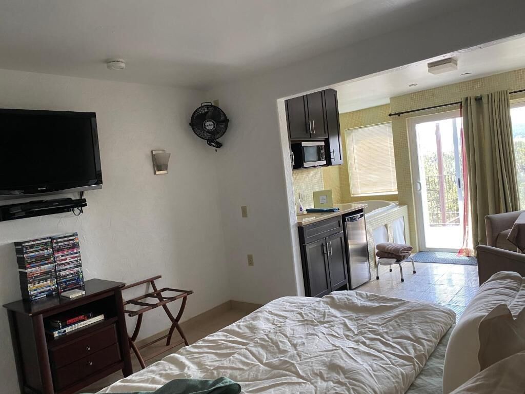 A bedroom with a bed, a TV, a small desk, and a kitchenette.