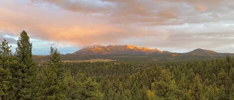 View from property