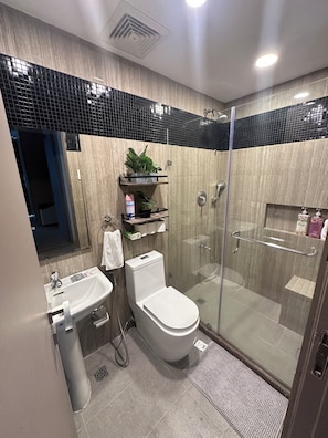 Shower, hair dryer, bidet, towels