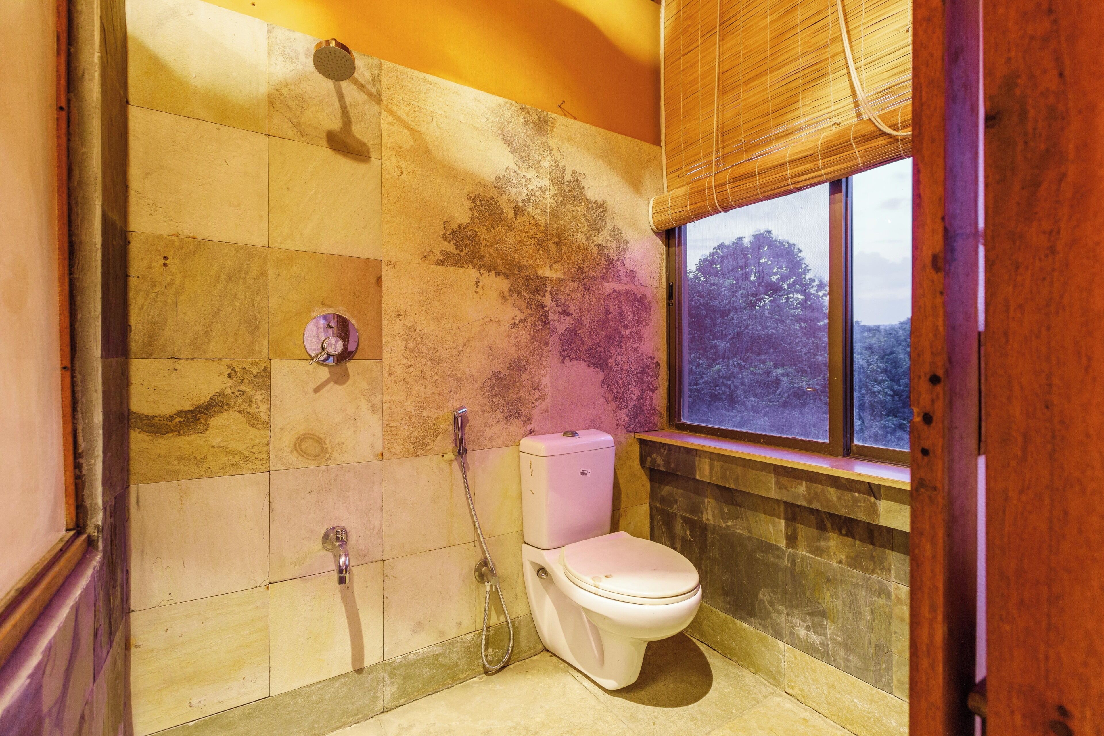 A bathroom with a toilet, shower, and a window with a view of trees.