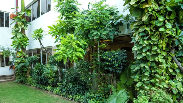 A lush garden with a variety of tropical plants and a white building with large windows. - Hotel Eminent (Agra)