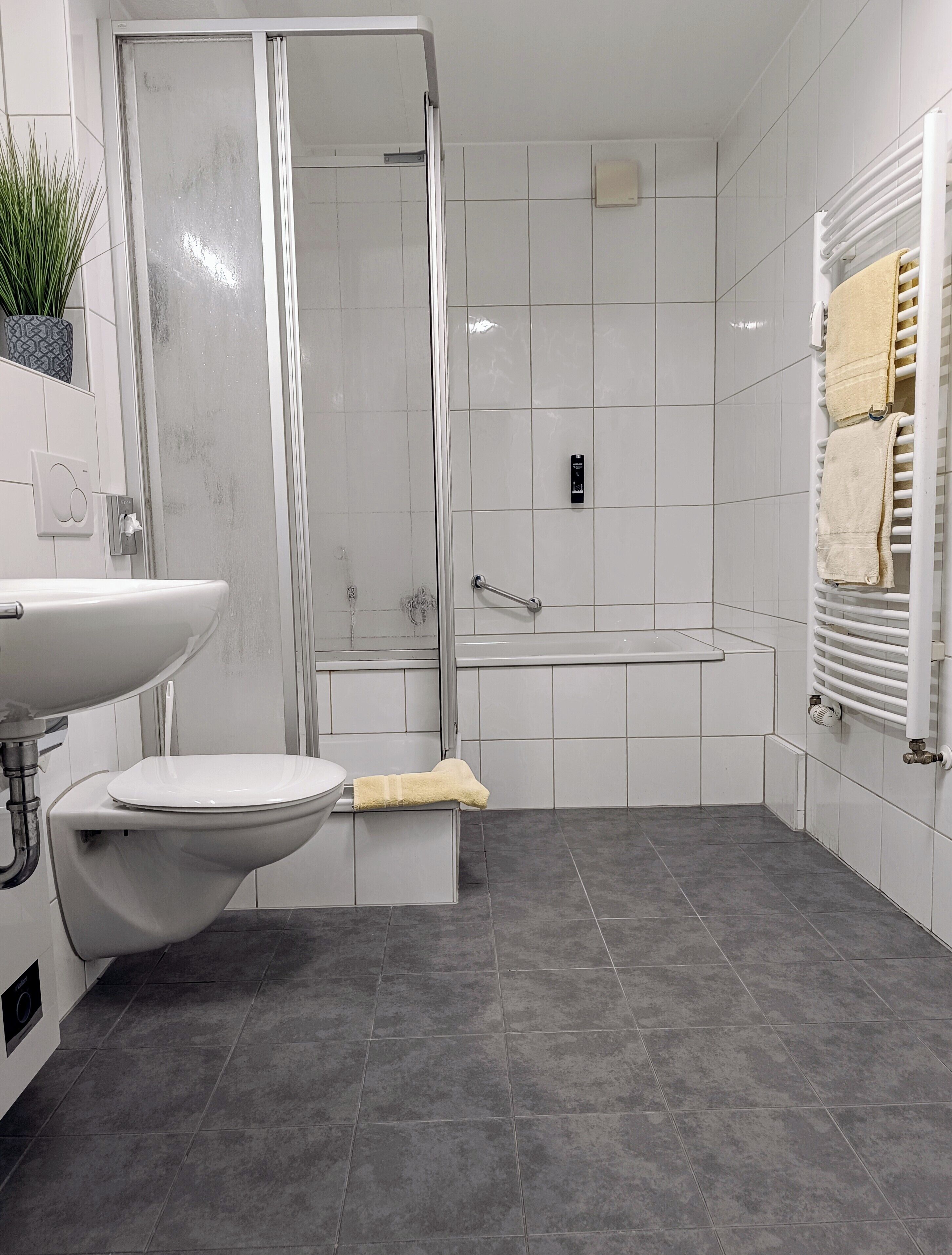 Hair dryer, towels, soap, shampoo