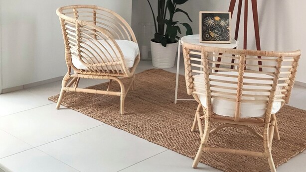 Ein Zimmer mit zwei Korbstühlen, einer großen Topfpflanze und einem gerahmten Bild auf einem kleinen Tisch.