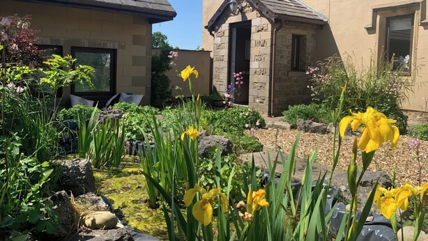 A garden with yellow flowers and a stone pathway leading to a house with a stone facade and a small attached structure. - Stoneycross Cottage (Preston)