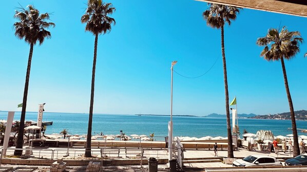 A beachside view with palm trees, a clear blue sky, and a distant view of the sea.
