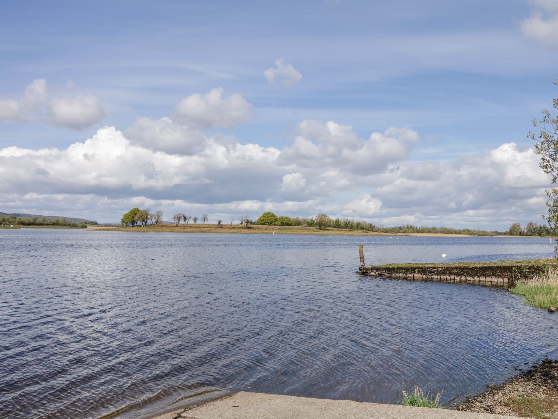 A calm lake with a wooden dock extending into the water, surrounded by trees and a clear sky.