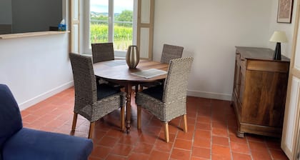 Small 19th-century house surrounded by vines, Domaine viticole de Rochambeau