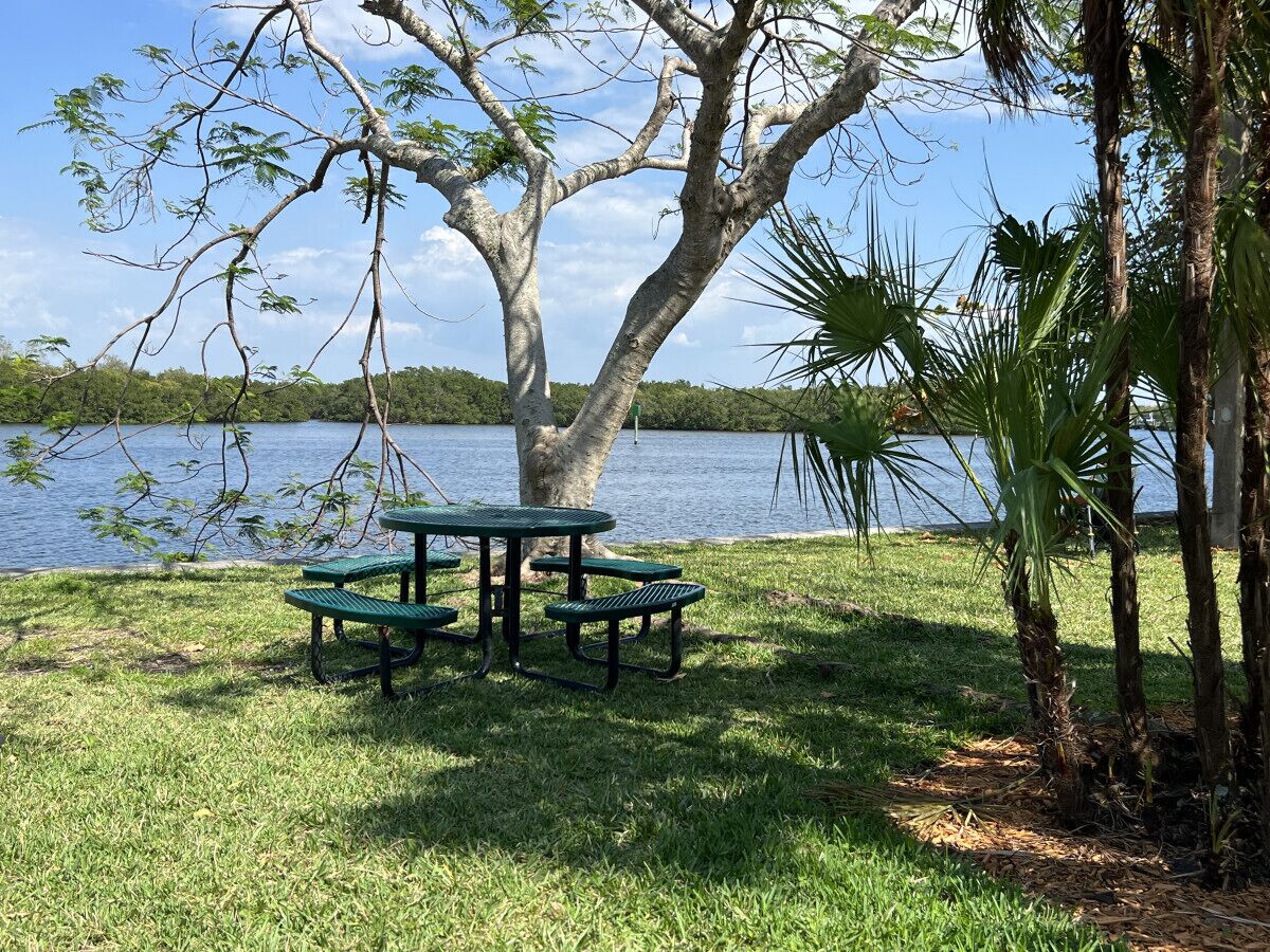 Une table de pique-nique avec des bancs, située sous un arbre, près d’un lac.