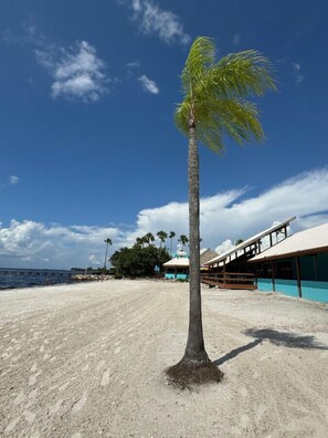 Playa