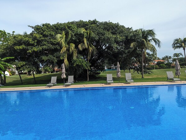 A swimming pool with lounge chairs and umbrellas, surrounded by lush greenery and palm trees.