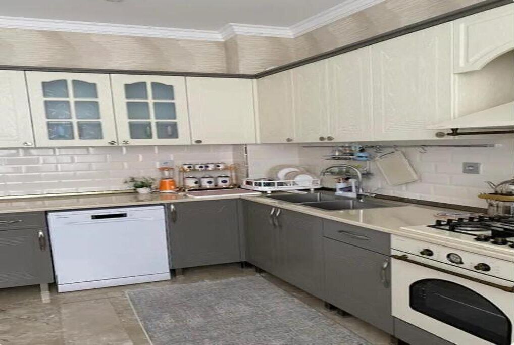 Micro-ondes, four, lave-vaisselle