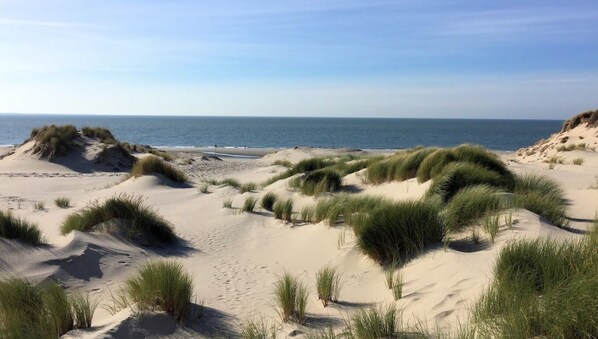Playa