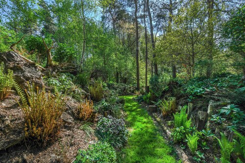 Eco 2-Bed Bungalow with Biodiverse Garden & Solar