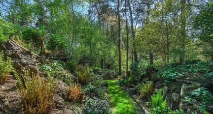 Eco 2-Bed Bungalow with Biodiverse Garden & Solar