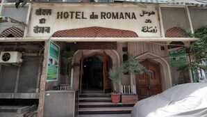 L'ingresso di HOTEL de ROMANA, con una targa, gradini che conducono all'ingresso e una pianta in vaso alla base.