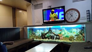Una stanza con televisore che mostra una partita di cricket, una sveglia e un grande acquario.