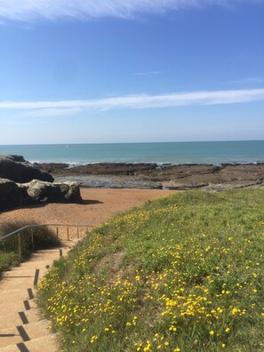 Un sentier côtier qui mène à une plage parsemée de fleurs jaunes et bordée de rochers.