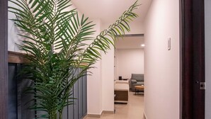 A hallway with a large potted plant, a bed, and a chair in a bedroom. - w*| Glorious 2BR w/ AC in Bocagrande (Cartagena de Indias)