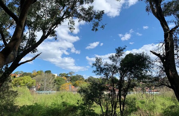 A landscape with trees and a clear sky.