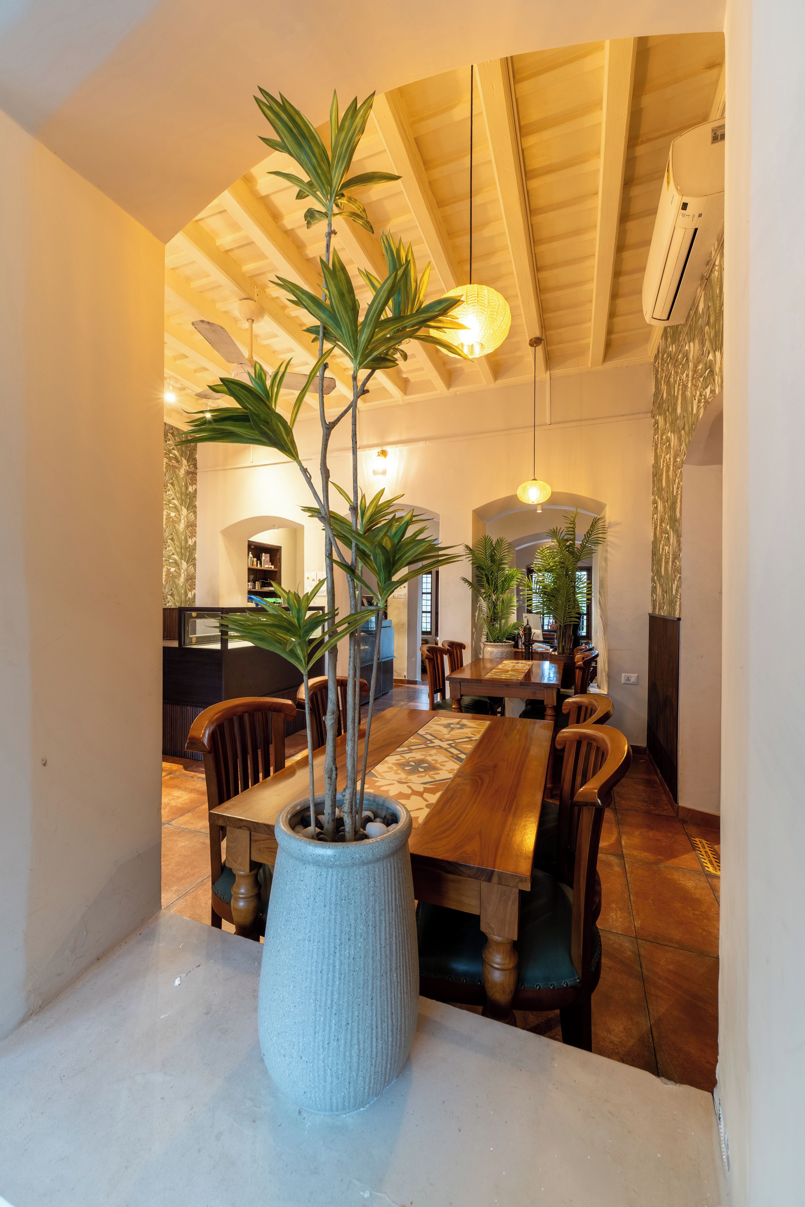 Un comedor con una larga mesa de madera, sillas y una planta en maceta en el centro.