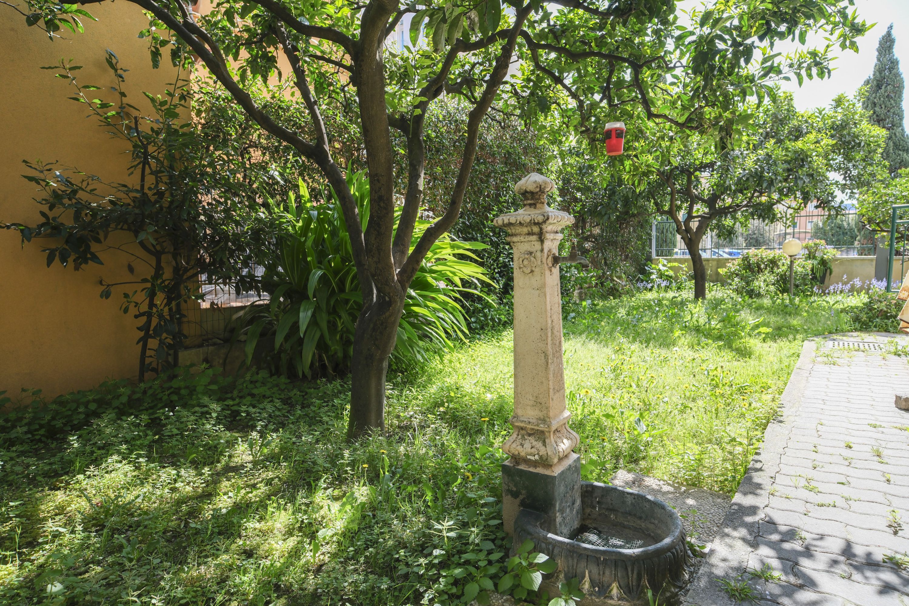Un jardín con una fuente, abundante vegetación y un camino pavimentado.