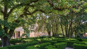 A well-maintained garden with neatly trimmed hedges and mature trees. - Solar de Vilar Seco (Nelas)