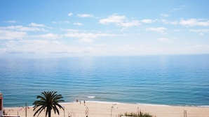 Ein Strand mit blauem Himmel, ruhigem Wasser und einer Palme.
