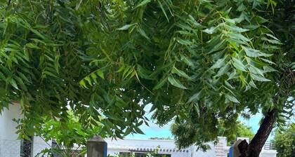 One-Bedroom Hideaway – A Cozy Retreat Within Walking Distance to Kilifi Beach