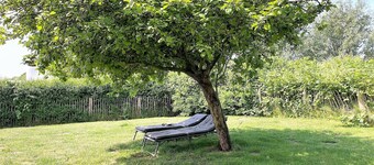 Dat groote Diekhuus - whirlpool, terrace, fenced garden, sauna, beach chair