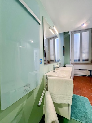 Shower, hair dryer, bidet, towels