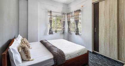 The Nebula by Red Olive