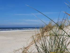 A beach with sand and waves, with grass in the foreground.