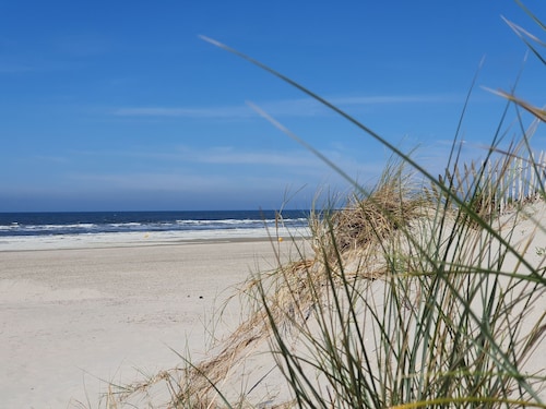 Appartement 3 Pers à 100m de la mer, Animaux Bienvenus