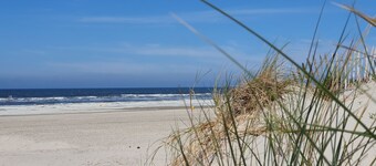 Apartment 3 Pers 100m from Beach, Pets Welcome