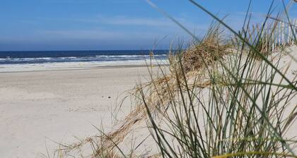 Apartment 3 Pers 100m from Beach, Pets Welcome