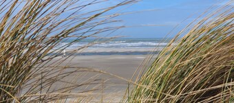 Appartement à 50m de la plage avec parking et Wi-Fi