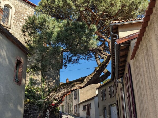 Extérieur
